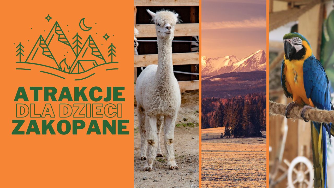 Zakopane dla dzieci